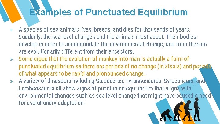 Examples of Punctuated Equilibrium » A species of sea animals lives, breeds, and dies