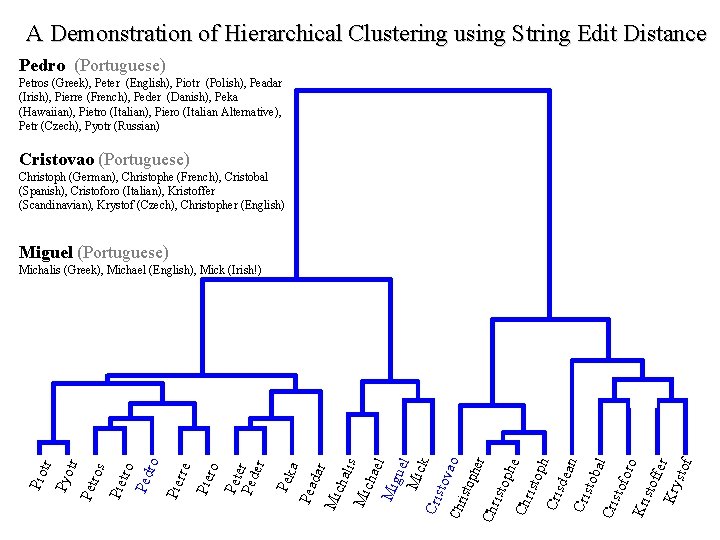 A Demonstration of Hierarchical Clustering using String Edit Distance Pedro (Portuguese) Petros (Greek), Peter