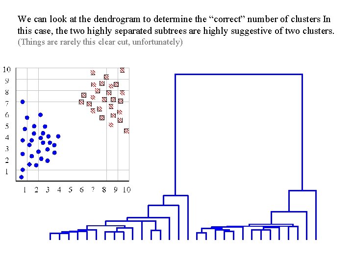 We can look at the dendrogram to determine the “correct” number of clusters In