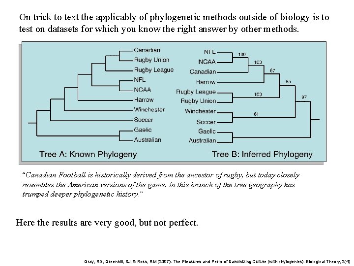 On trick to text the applicably of phylogenetic methods outside of biology is to