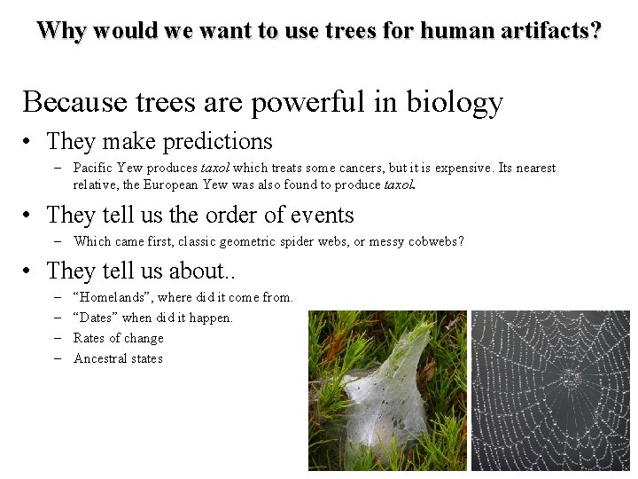 Why would we want to use trees for human artifacts? Because trees are powerful