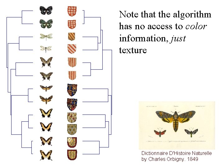 Note that the algorithm has no access to color information, just texture Dictionnaire D'Histoire