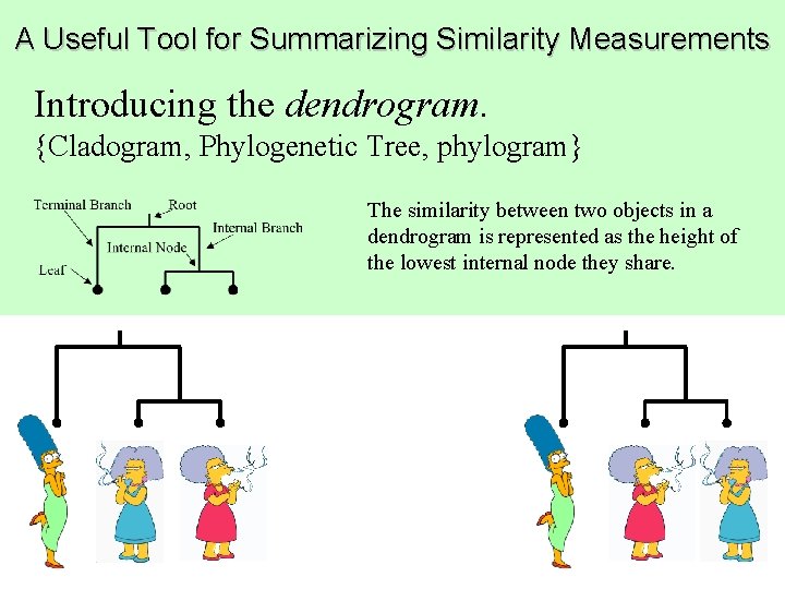 A Useful Tool for Summarizing Similarity Measurements Introducing the dendrogram. {Cladogram, Phylogenetic Tree, phylogram}