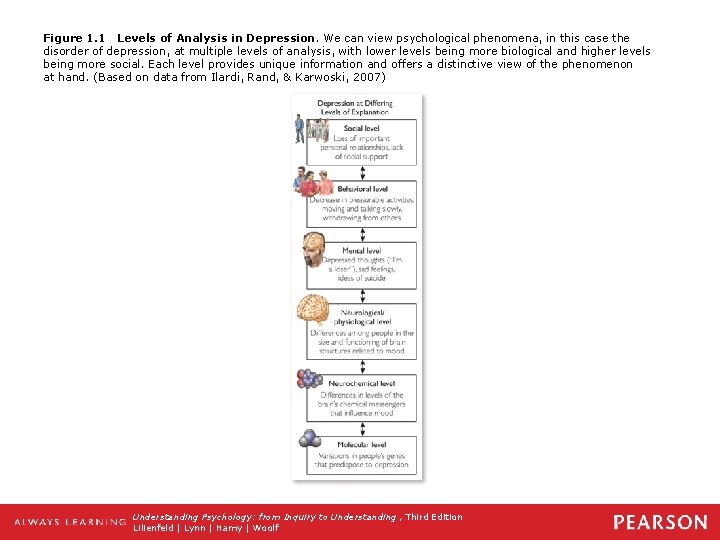 Figure 1. 1 Levels of Analysis in Depression. We can view psychological phenomena, in