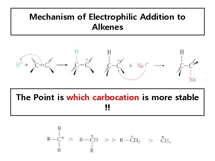 Mechanism of Electrophilic Addition to Alkenes The Point is which carbocation is more stable