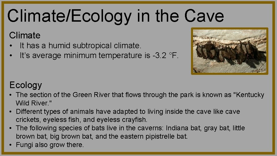 Climate/Ecology in the Cave Climate • It has a humid subtropical climate. • It’s