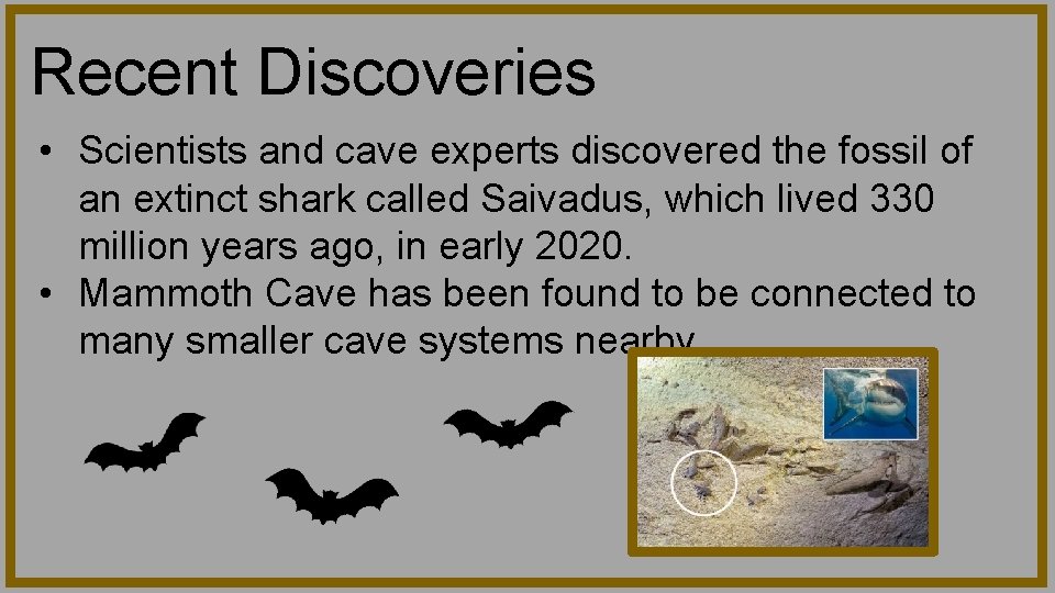 Recent Discoveries • Scientists and cave experts discovered the fossil of an extinct shark