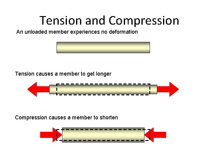 Tension and Compression An unloaded member experiences no deformation Tension causes a member to