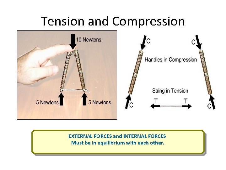 Tension and Compression EXTERNAL FORCES and INTERNAL FORCES Must be in equilibrium with each