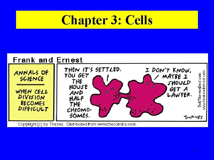 Chapter 3: Cells 1 