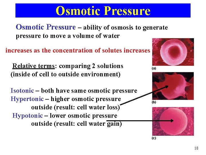 Osmotic Pressure – ability of osmosis to generate pressure to move a volume of