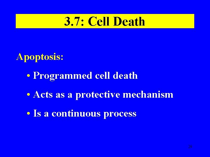 3. 7: Cell Death Apoptosis: • Programmed cell death • Acts as a protective