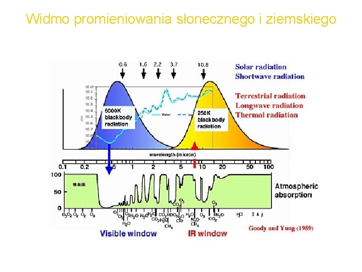 Widmo promieniowania słonecznego i ziemskiego 