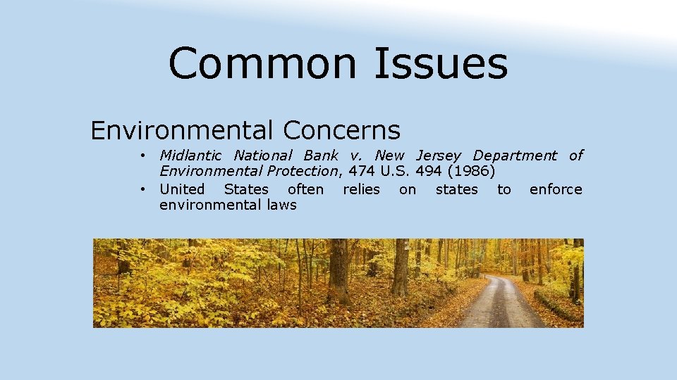 Common Issues Environmental Concerns • Midlantic National Bank v. New Jersey Department of Environmental