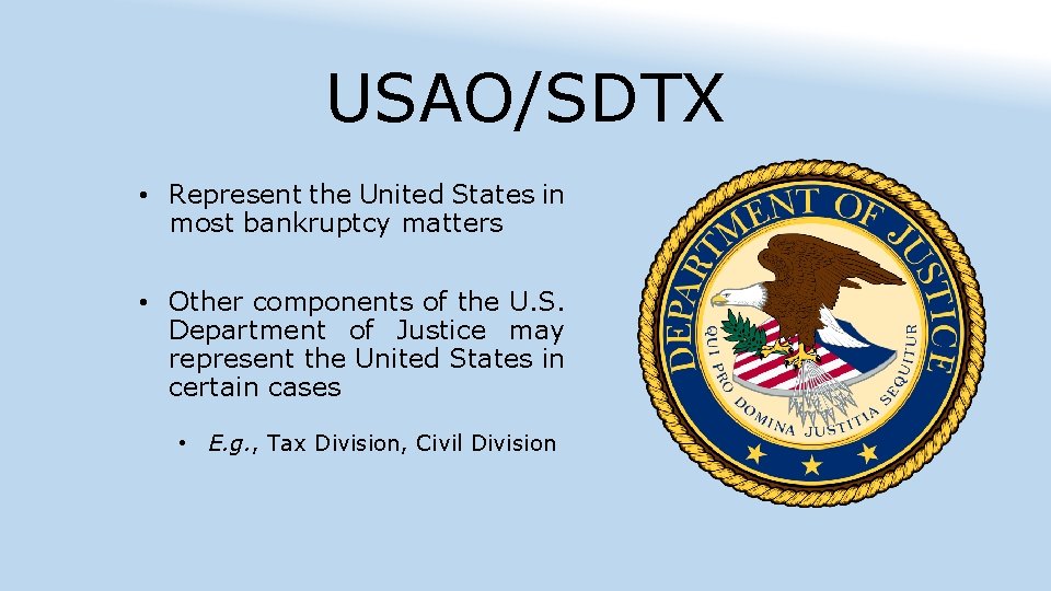 USAO/SDTX • Represent the United States in most bankruptcy matters • Other components of