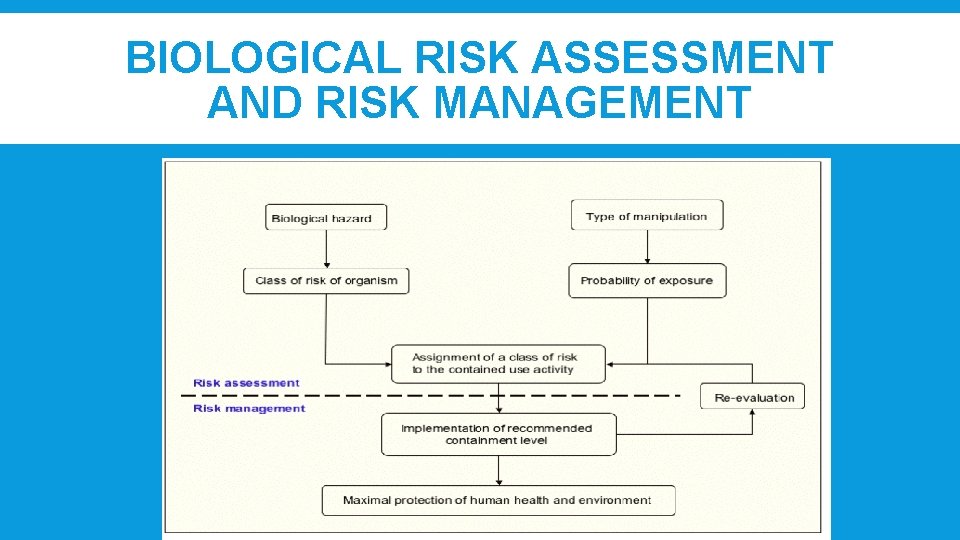 BIOLOGICAL RISK ASSESSMENT AND RISK MANAGEMENT 