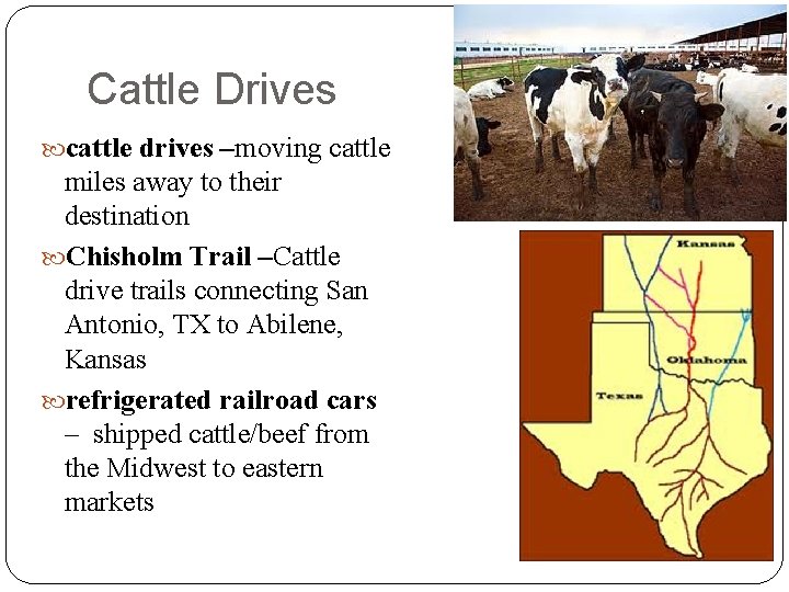 Cattle Drives cattle drives –moving cattle miles away to their destination Chisholm Trail –Cattle