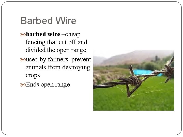 Barbed Wire barbed wire –cheap fencing that cut off and divided the open range