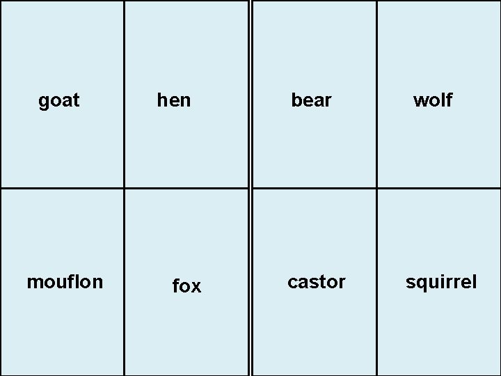 goat mouflon hen fox bear castor wolf squirrel 