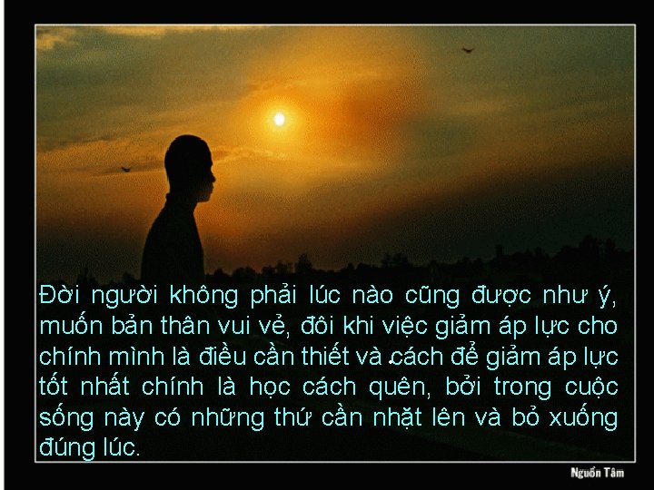 Đời người không phải lúc nào cũng được như ý, muốn bản thân vui