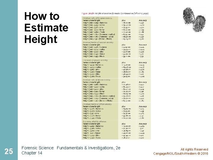 How to Estimate Height 25 Forensic Science: Fundamentals & Investigations, 2 e Chapter 14