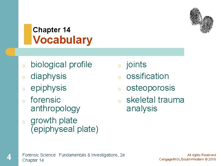 Chapter 14 Vocabulary o o o 4 biological profile diaphysis epiphysis forensic anthropology growth