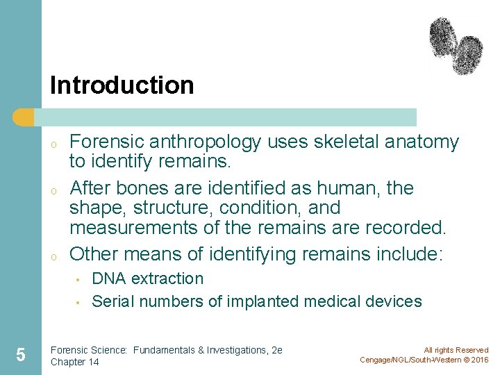 Introduction o o o Forensic anthropology uses skeletal anatomy to identify remains. After bones