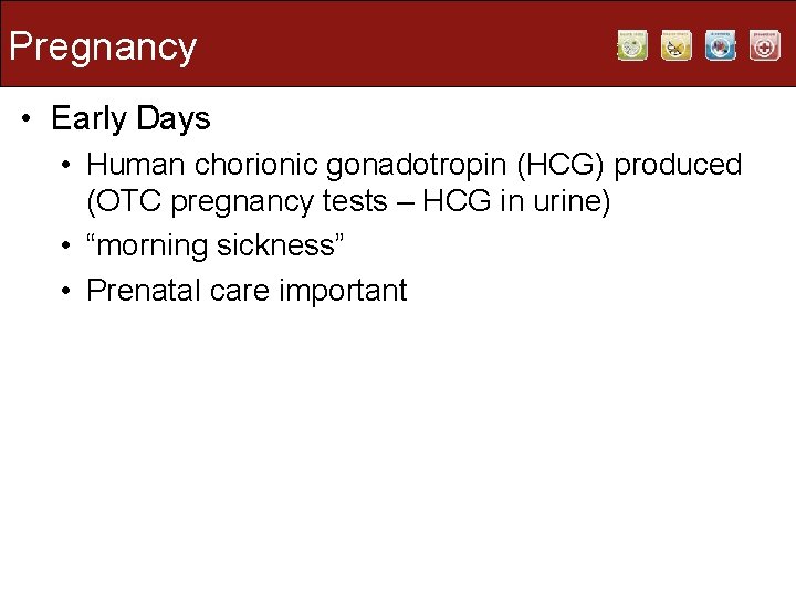 Pregnancy • Early Days • Human chorionic gonadotropin (HCG) produced (OTC pregnancy tests –