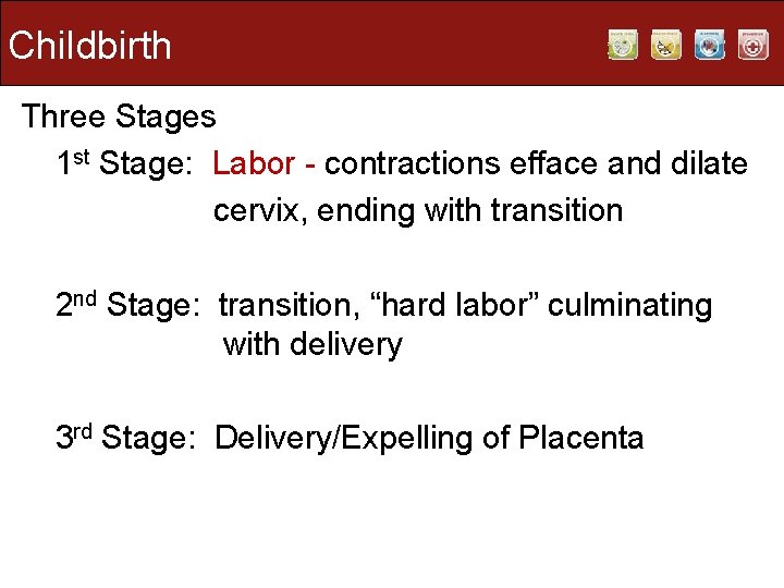 Childbirth Three Stages 1 st Stage: Labor - contractions efface and dilate cervix, ending