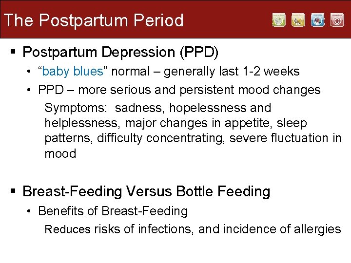 The Postpartum Period § Postpartum Depression (PPD) • “baby blues” normal – generally last