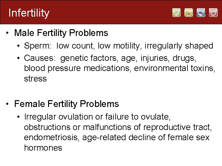 Infertility • Male Fertility Problems • Sperm: low count, low motility, irregularly shaped •