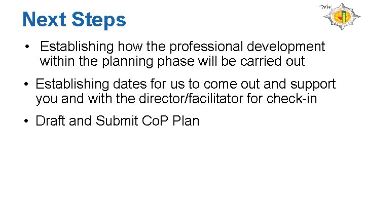Next Steps • Establishing how the professional development within the planning phase will be