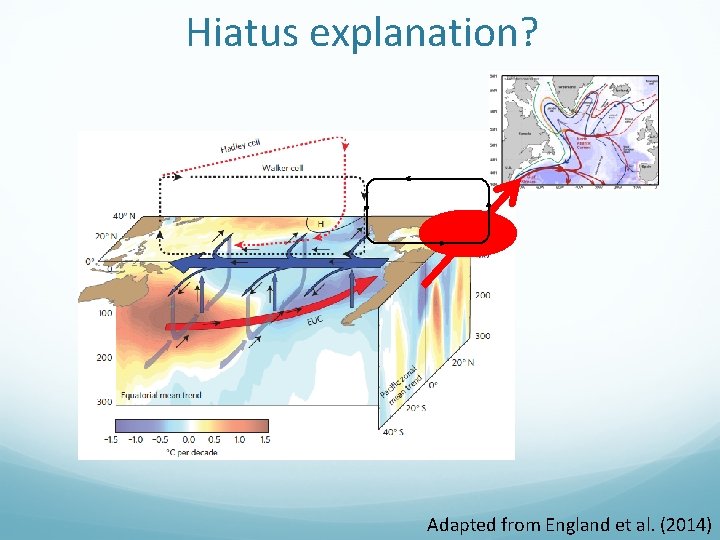 Hiatus explanation? Adapted from England et al. (2014) 