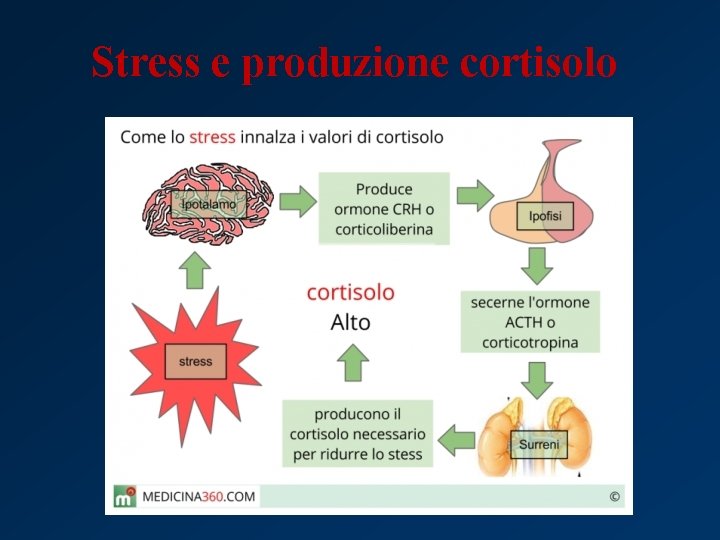 Stress e produzione cortisolo 