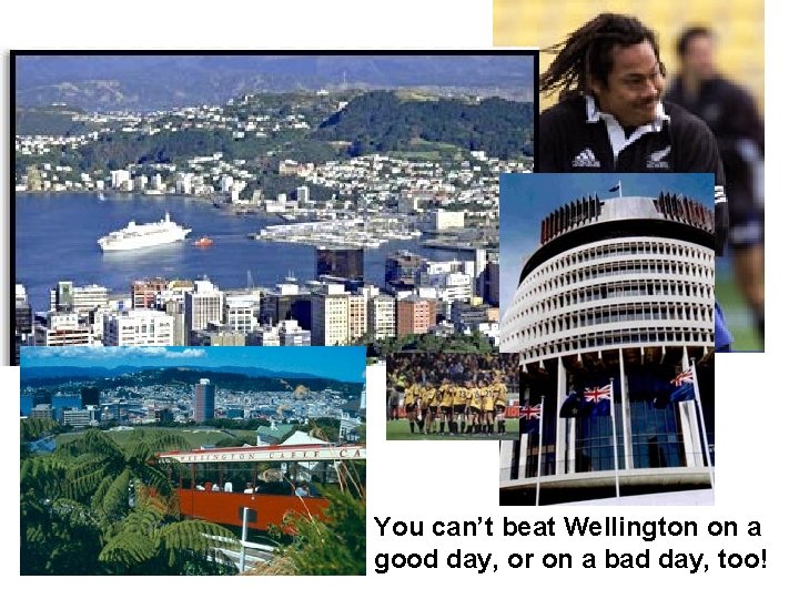 You can’t beat Wellington on a good day, or on a bad day, too!