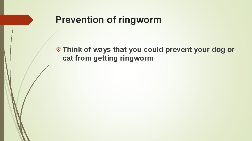 Prevention of ringworm Think of ways that you could prevent your dog or cat Prevention of ringworm Think of ways that you could prevent your dog or cat