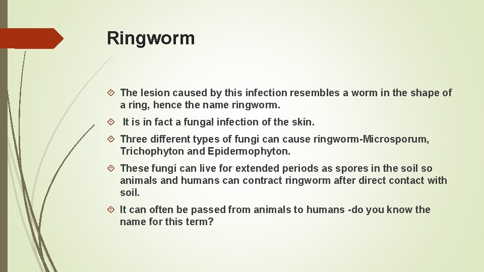 Ringworm The lesion caused by this infection resembles a worm in the shape of Ringworm The lesion caused by this infection resembles a worm in the shape of