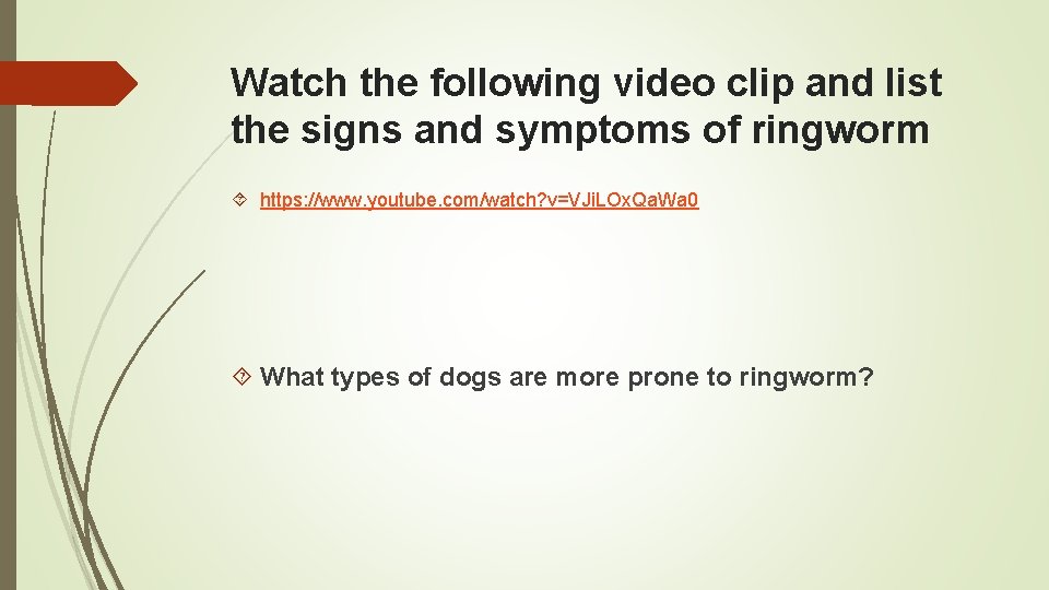 Watch the following video clip and list the signs and symptoms of ringworm https: Watch the following video clip and list the signs and symptoms of ringworm https: