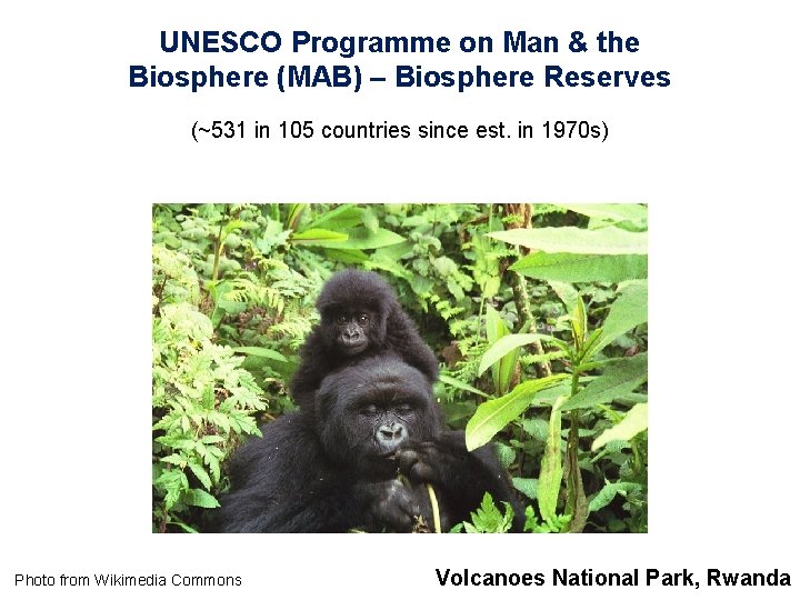 UNESCO Programme on Man & the Biosphere (MAB) – Biosphere Reserves (~531 in 105