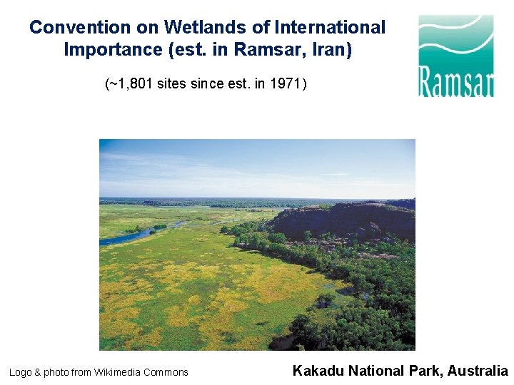 Convention on Wetlands of International Importance (est. in Ramsar, Iran) (~1, 801 sites since