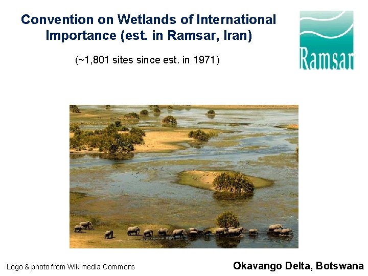 Convention on Wetlands of International Importance (est. in Ramsar, Iran) (~1, 801 sites since