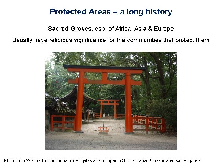 Protected Areas – a long history Sacred Groves, esp. of Africa, Asia & Europe