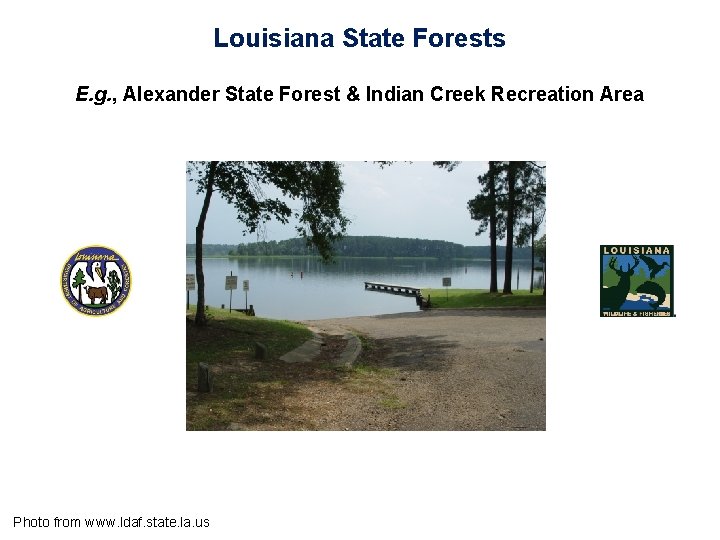 Louisiana State Forests E. g. , Alexander State Forest & Indian Creek Recreation Area