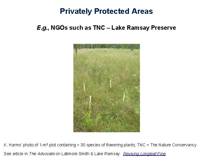 Privately Protected Areas E. g. , NGOs such as TNC – Lake Ramsay Preserve