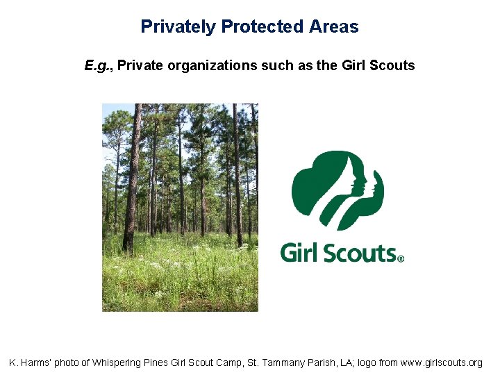 Privately Protected Areas E. g. , Private organizations such as the Girl Scouts K.