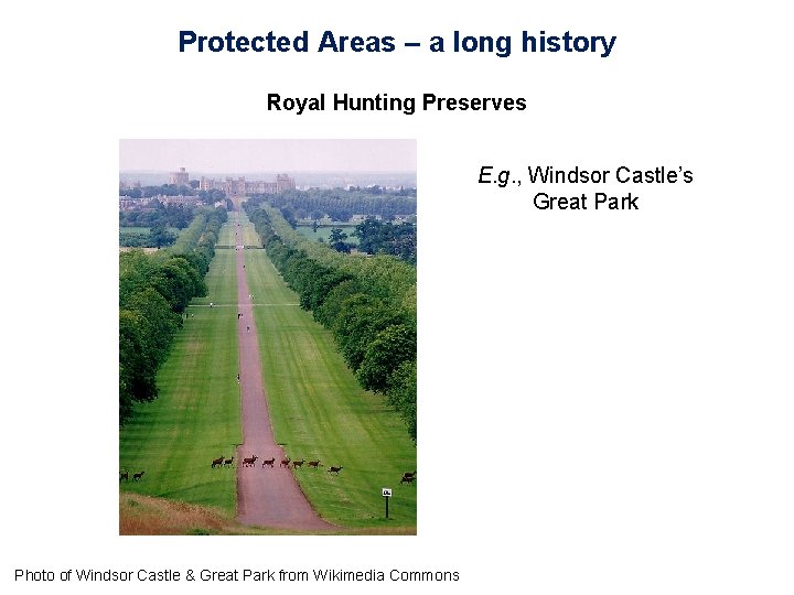 Protected Areas – a long history Royal Hunting Preserves E. g. , Windsor Castle’s