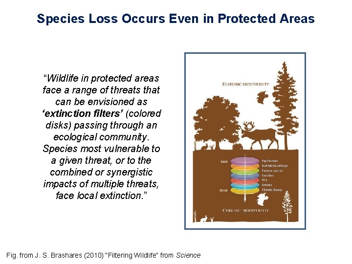 Species Loss Occurs Even in Protected Areas “Wildlife in protected areas face a range