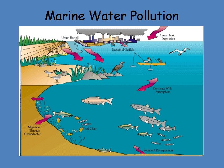 Marine Water Pollution 