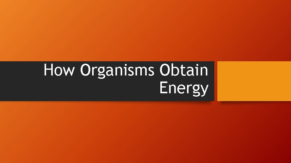 How Organisms Obtain Energy 