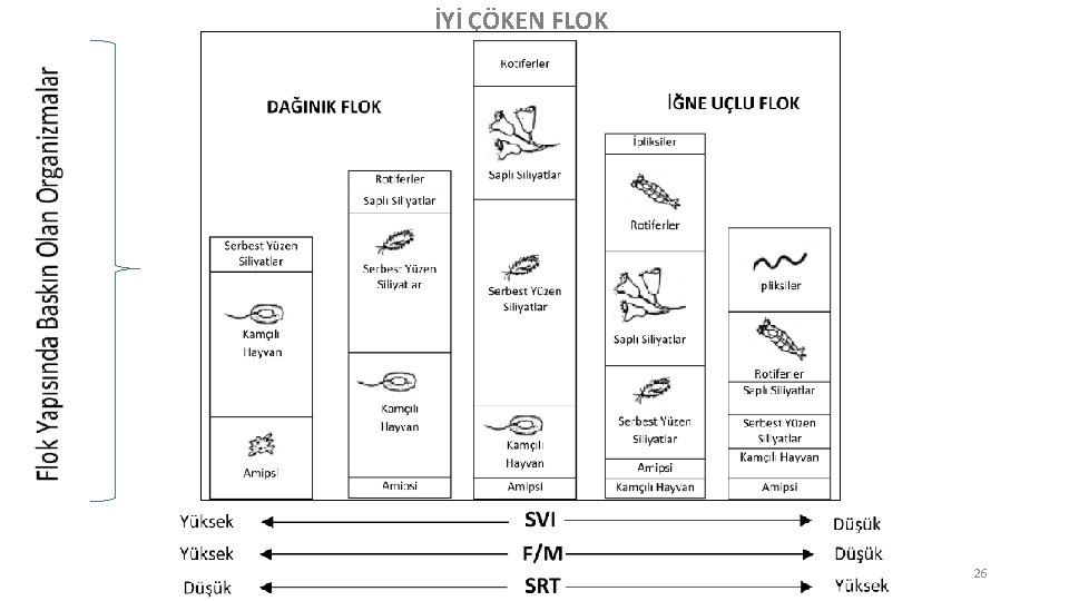 İYİ ÇÖKEN FLOK 26 